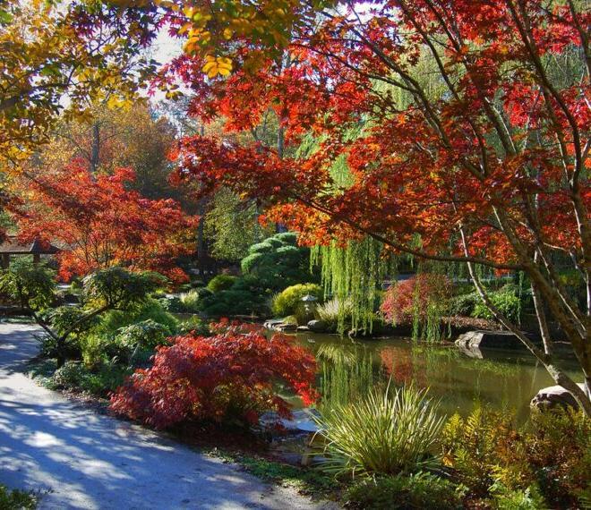 beautiful gardens by a lake